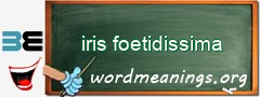 WordMeaning blackboard for iris foetidissima